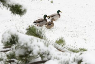 Havazás Nyíregyházán