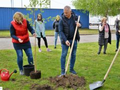 faültetés ÉAK Nonprofit kft
