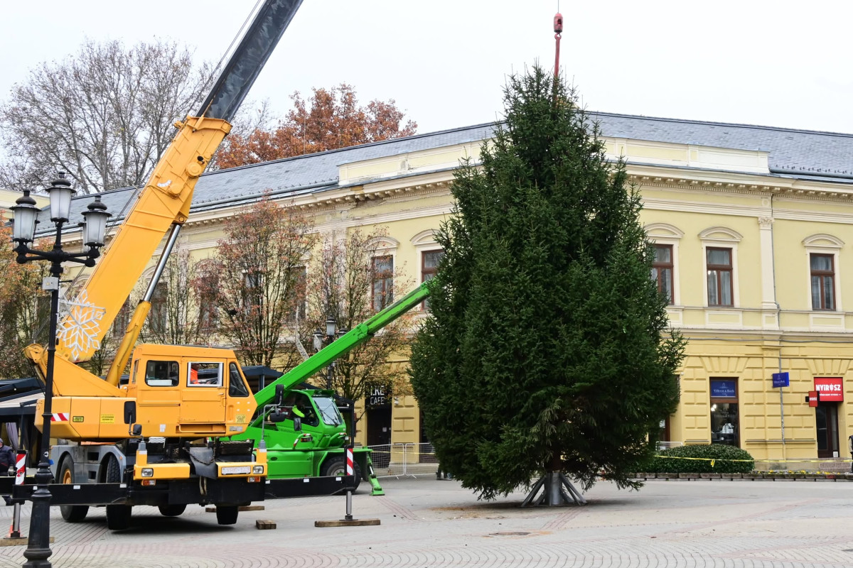 Nyíregyháza karácsonyfája