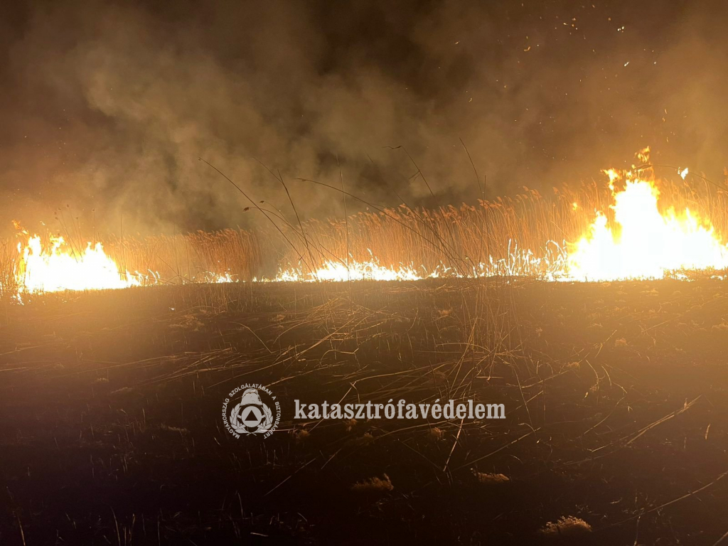 Lángolt a nádas Pátrohánál