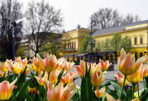 NYÍRVV